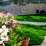 Rosa Cilento *