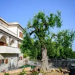 בית נופש Rosa Cilento קפריולי
