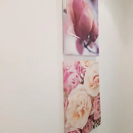 別荘 Rosa Cilento カプリオーリ