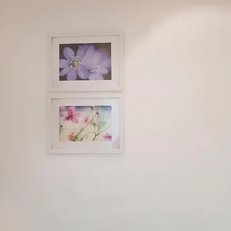 Holiday home Rosa Cilento Caprioli