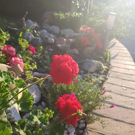 Holiday home Rosa Cilento Caprioli