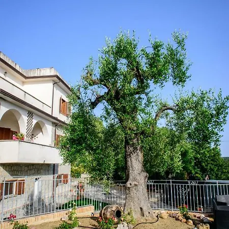 Σπίτι διακοπών Rosa Cilento Caprioli