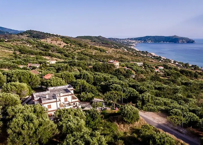 Rosa Cilento * كابريولي